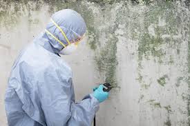 Best Comprehensive Air Testing for Mold Contaminants in Athens, OH